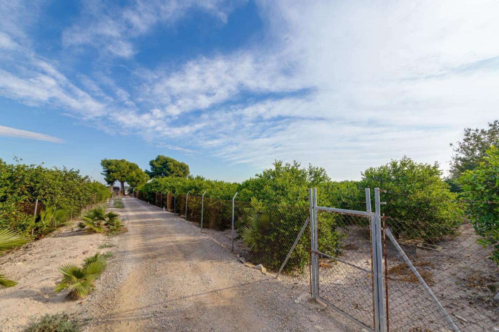 ​Finca with 13,000m2 of plot with a house with 4 bedrooms and 2 bathrooms